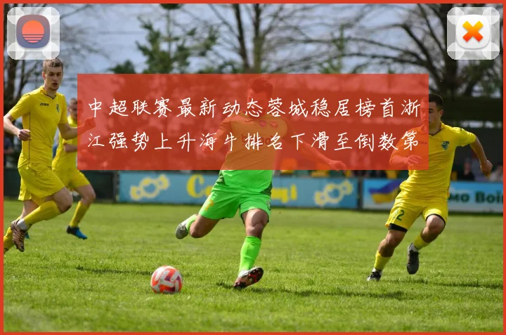 中超联赛最新动态蓉城稳居榜首浙江强势上升海牛排名下滑至倒数第三
