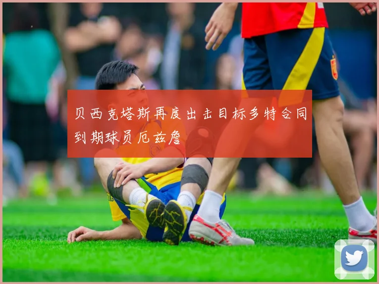 贝西克塔斯再度出击目标多特合同到期球员厄兹詹